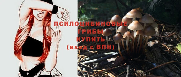 гидропоника Майский