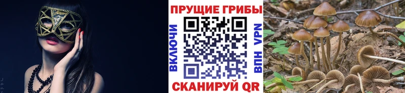 Галлюциногенные грибы прущие грибы  Купить где  Неман 